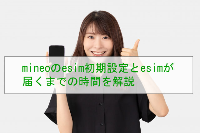 マイネオ設定方法